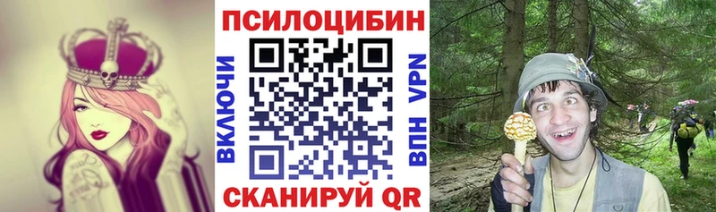 Галлюциногенные грибы мицелий  как найти   Вязники 