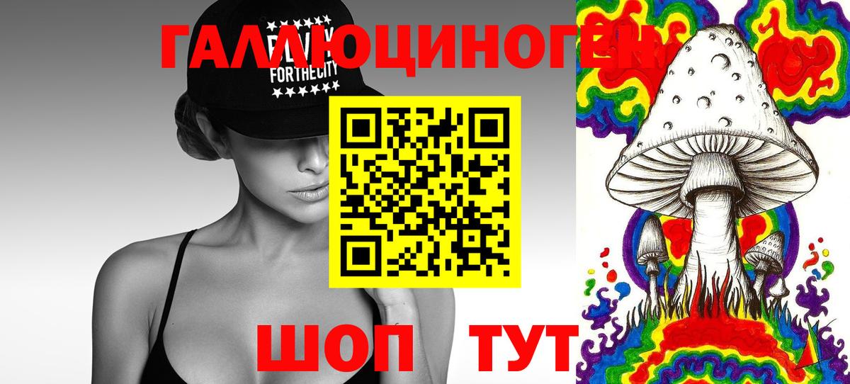 Галлюциногенные грибы прущие грибы  Галлюциногенные грибы GOLDEN TEACHER  Вязники 