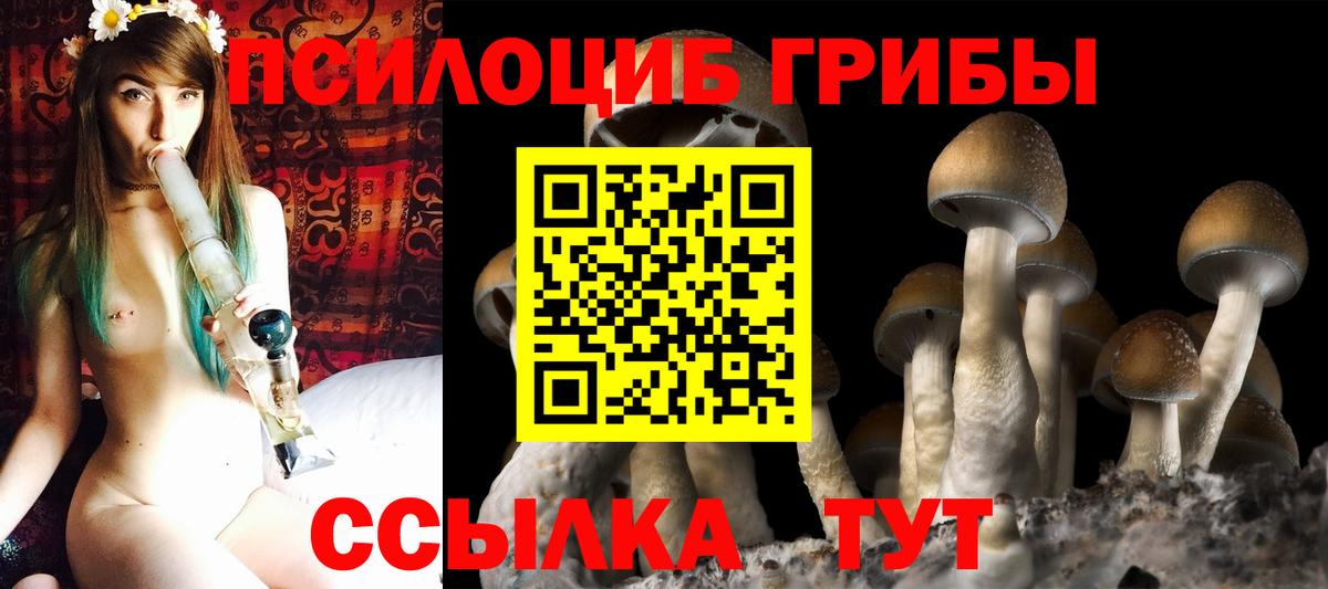 Галлюциногенные грибы мицелий  Вход с VPN  Вязники 