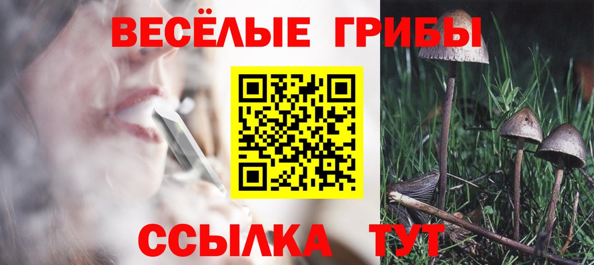 Псилоцибиновые грибы мухоморы Вязники